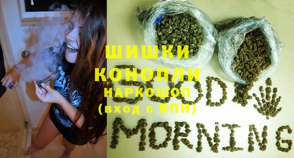 МДПВ Медвежьегорск