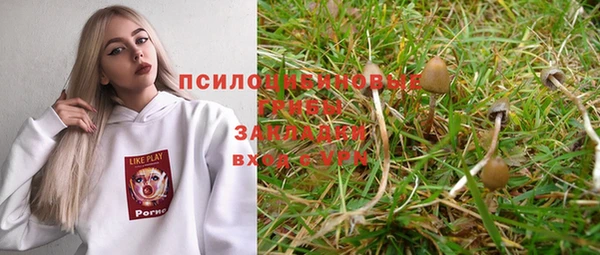 прущая мука Мегион