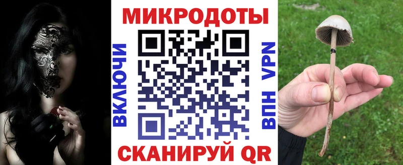 Галлюциногенные грибы прущие грибы  Прохладный 