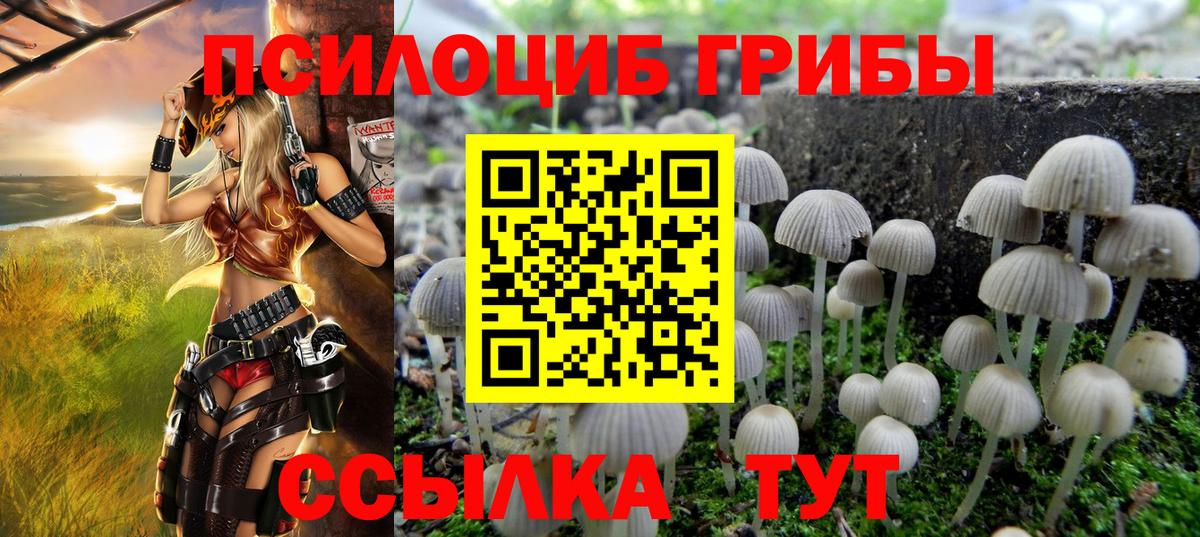 Псилоцибиновые грибы MAGIC MUSHROOMS Прохладный